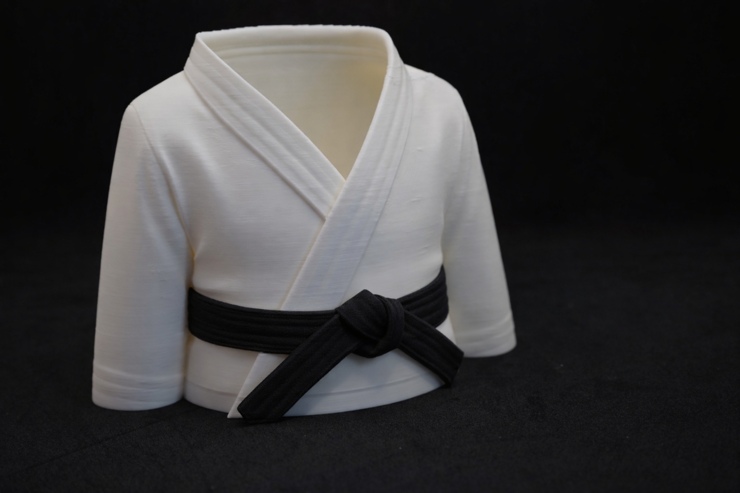 Dojo: Home Decor Portapenne Karategi in PLA